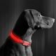 LED Rechargeable dog collar 40-48 cm 1xCR2032/5V/40 mAh red