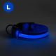 LED Rechargeable dog collar 45-52 cm 1xCR2032/5V/40 mAh blue