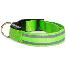 LED Rechargeable dog collar 45-52 cm 1xCR2032/5V/40 mAh green