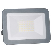 LED Reflector LED/30W/230V IP65