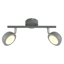 LED Spotlight MILD 2xLED/6W/230V grey