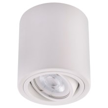 LED Spotlight TUBA 1xGU10/5W/230V 4000K white