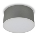 LED2 - LED Ceiling light BUTTON LED/17W/230V silver
