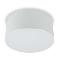 LED2 - LED Ceiling light BUTTON LED/17W/230V white