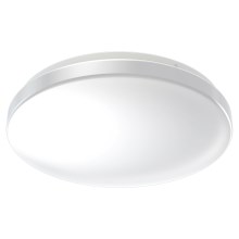 Ledvance - LED Bathroom ceiling light CEILING ROUND LED/24W/230V 6500K IP44