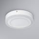 Ledvance - LED Ceiling light ROUND LED/15W/230V d. 20 cm