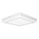 Ledvance - LED Ceiling light SQUARE LED/18W/230V