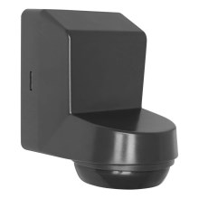 Ledvance - Outdoor infrared motion sensor 230V IP55 grey