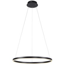 Leuchten Direkt 15394-13 - LED Dimmable chandelier on a string RITUS LED/30W/230V black