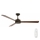 Lucci air 210641 - Ceiling fan AIRFUSION CLIMATE III wood/brown + remote control