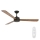 Lucci air 210642 - Ceiling fan AIRFUSION CLIMATE III black/wood + remote control