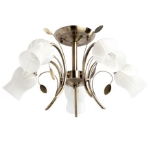 MW-LIGHT - Attached chandelier FLORA 5xE14/60W/230V