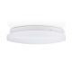 LED RGBW Dimmable ceiling light SmartLife LED/18W/230V 3000-6500K Wi-Fi