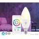 LED RGB Dimmable bulb Smartlife E14/4,9W/230V Wi-Fi 2700-6500K