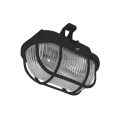 Outdoor ceiling light OVAL 1xE27/60W/230V IP44