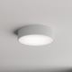 Outdoor ceiling light with a sensor CLEO 2xE27/48W/230V d. 30 cm grey IP54
