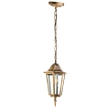 Outdoor chandelier on a chain 1xE27/60W/230V golden IP44