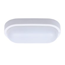 Outdoor LED ceiling light LED/13W/230V IP54