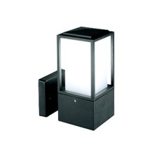 Outdoor wall lamp 1xE27/12W/230V IP44 anthracite