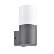 Outdoor wall light DALLAS 1xE27/12W/230V IP44
