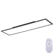Paul Neuhaus 16533-16-O - LED Dimmable surface-mounted panel FLAT LED/24W/230V 2700-5000K black + remote control