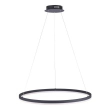 Paul Neuhaus 2383-13 - LED Dimmable chandelier on a string TITUS LED/50W/230V