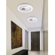 Paul Neuhaus 6284-16 - LED Ceiling light ELIZA LED/55,5W/230V