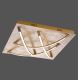 Paul Neuhaus 6544-12 - LED Ceiling light JANO 4xLED/10W/230V