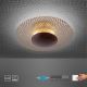 Paul Neuhaus 6551-48 - LED Dimmable ceiling light NEVIS LED/18W/230V