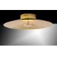 Paul Neuhaus 8132-12 - LED Dimmable ceiling light PLATE LED/25W/230V