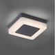 Paul Neuhaus 9491-13 - LED Outdoor light FABIAN LED/12,6W/230V IP54