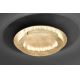 Paul Neuhaus 9621-12 - LED Ceiling light NEVIS LED/24W/230V