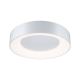 Paulmann 78947 - LED/23W IP44 Bathroom ceiling light CASCA 230V