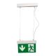 Pendant accessories for emergency lights