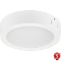 Philips - LED Bathroom ceiling light LED/21W/230V IP44 3000K