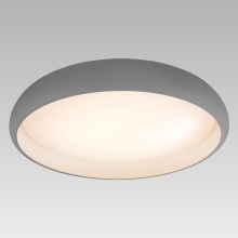 Prezent 45136 - LED Ceiling light TARI 1xLED/22W/230V