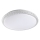 Prezent 71313 - LED ceiling light AMBIA LED/48W/230V white