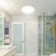 Rabalux - LED bathroom ceiling light LED/24W/230V