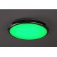 Rabalux - LED RGB Dimmable bathroom ceiling light LED/18W/230V d. 30 cm 3000-6500K IP44 + remote control