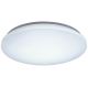 Rabalux - LED RGB Dimmable ceiling light LED/24W/230V Wi-Fi Tuya 3000-6500K 31 cm