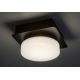 Rabalux - LED Ceiling bathroom light LED/5W/230V IP44 4000K black