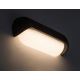 Rabalux - LED Outdoor wall light LED/13W/230V IP54 anthracite