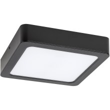 Rabalux - LED Bathroom ceiling light LED/24W/230V 22 cm IP44