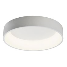 Rabalux - LED ceiling light LED/36W