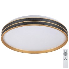 Rabalux - LED Dimmable ceiling light LED/24W/230V 3000-6500K + remote control