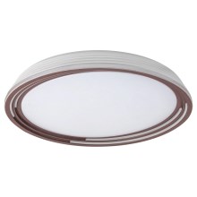 Rabalux - LED Dimmable ceiling light LED/36W/230V