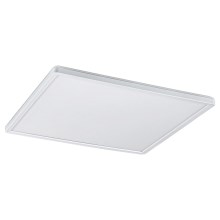 Rabalux - LED Dimming ceiling light LED/22W/230V
