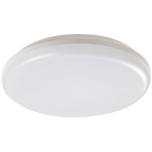 Rabalux - LED Outdoor ceiling light LED/24W/230V IP64