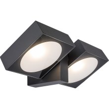 Rabalux - LED Outdoor wall light 2xLED/7W/230V IP54 anthracite