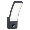 Rabalux - LED Outdoor wall light with a sensor LED/12W/230V IP44